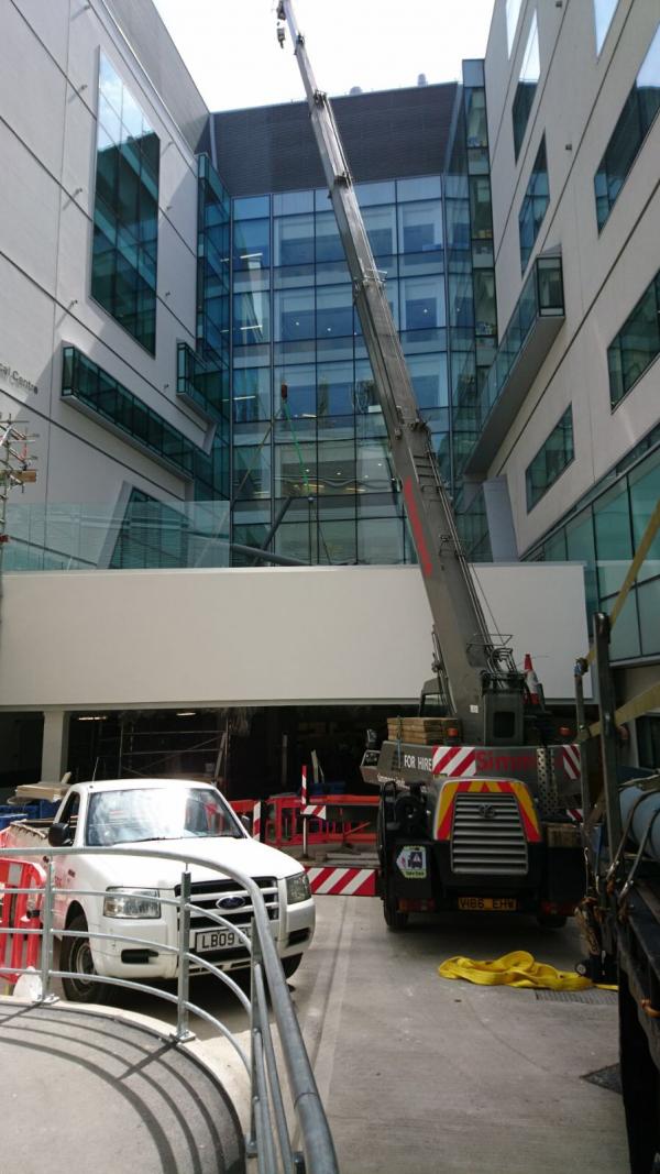 Crane at Great Ormond Street Childrens Hospital